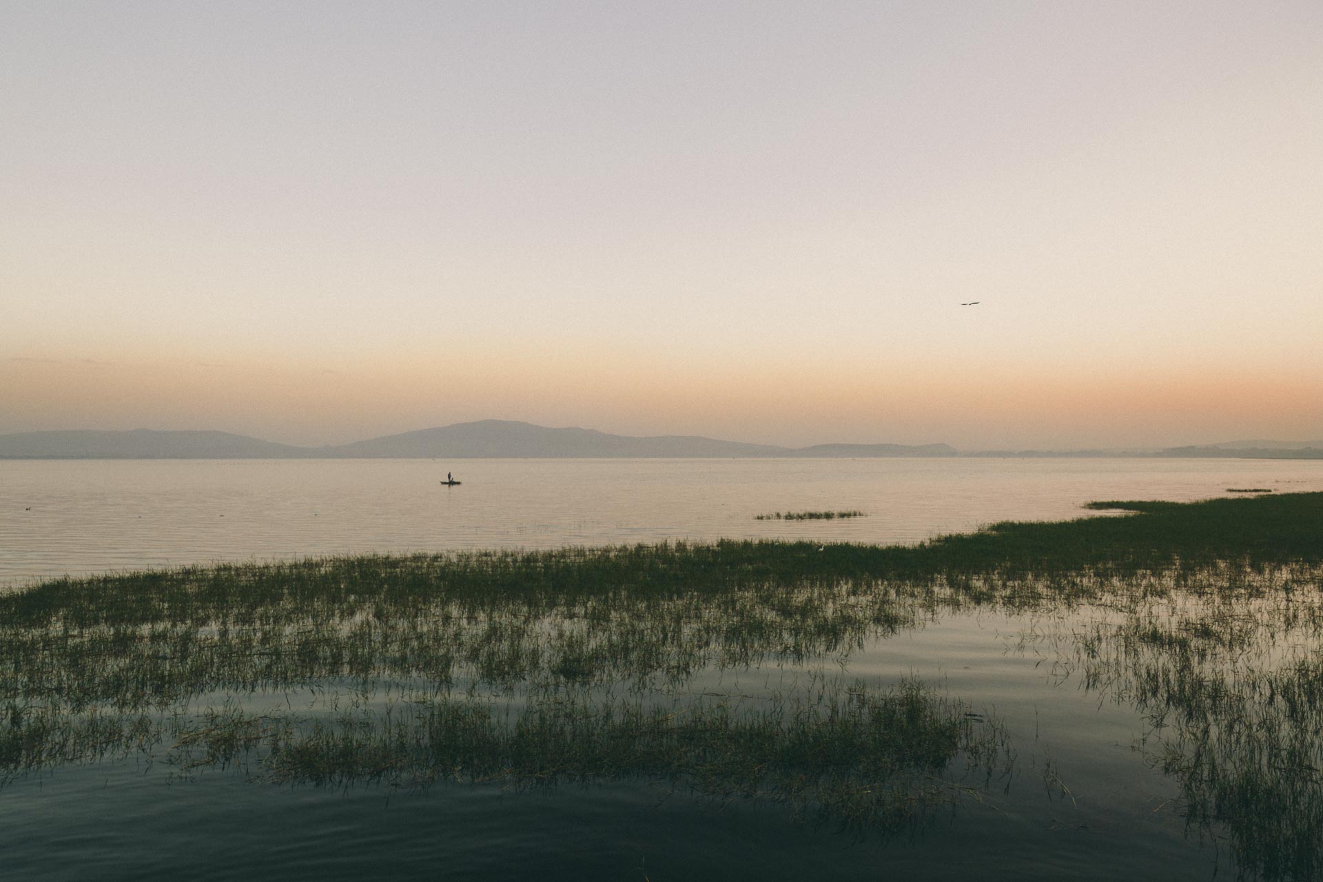 Rejseguide til Hawassa: 3 dage med flodheste langs søpromenaden