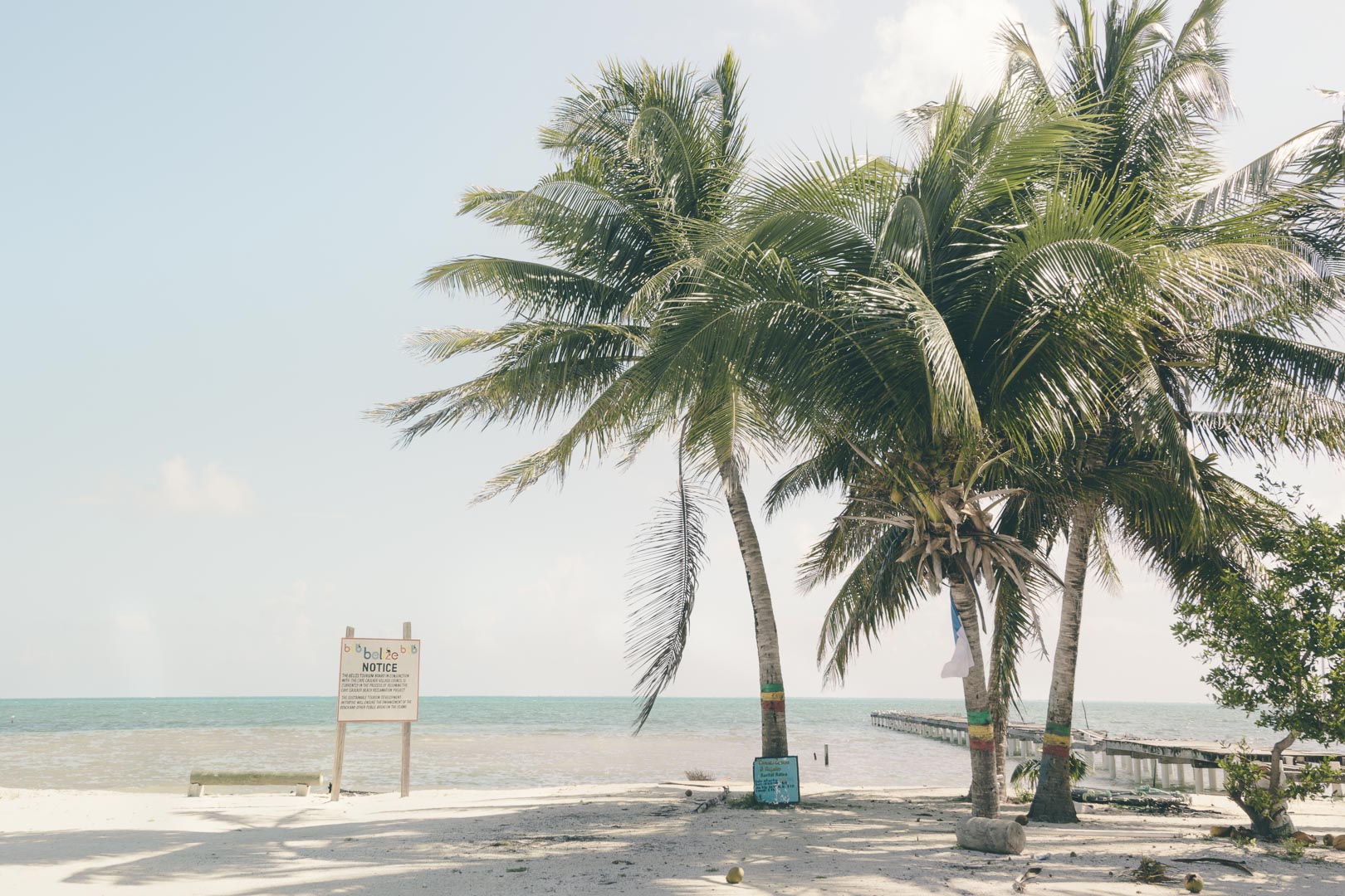 Rejseguide til Caye Caulker: Alt hvad du skal vide om den populære caribiske ø