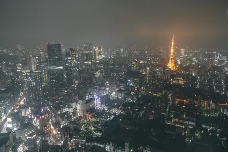 Rejseguide til Tokyo: De bedste områder & seværdigheder