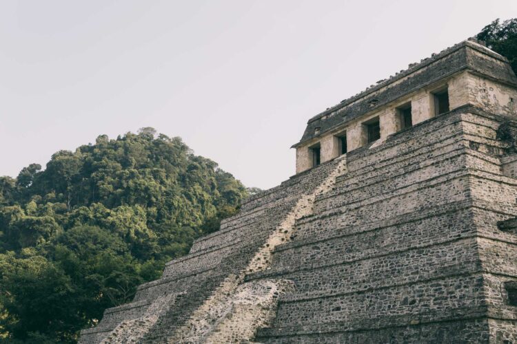 Rejseguide til Palenque: Alt hvad du skal vide om at besøge de magiske maya-ruiner