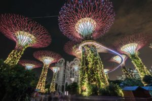 Gardens by the Bay: Alt hvad du skal vide om at besøge de lysende supertræer gardens-by-the-bay-P1277012