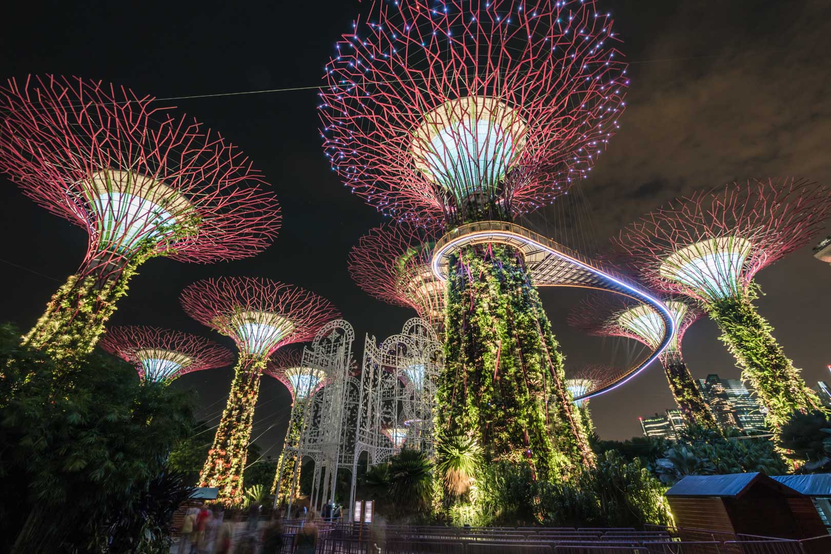 Gardens by the Bay: Alt hvad du skal vide om at besøge de lysende supertræer