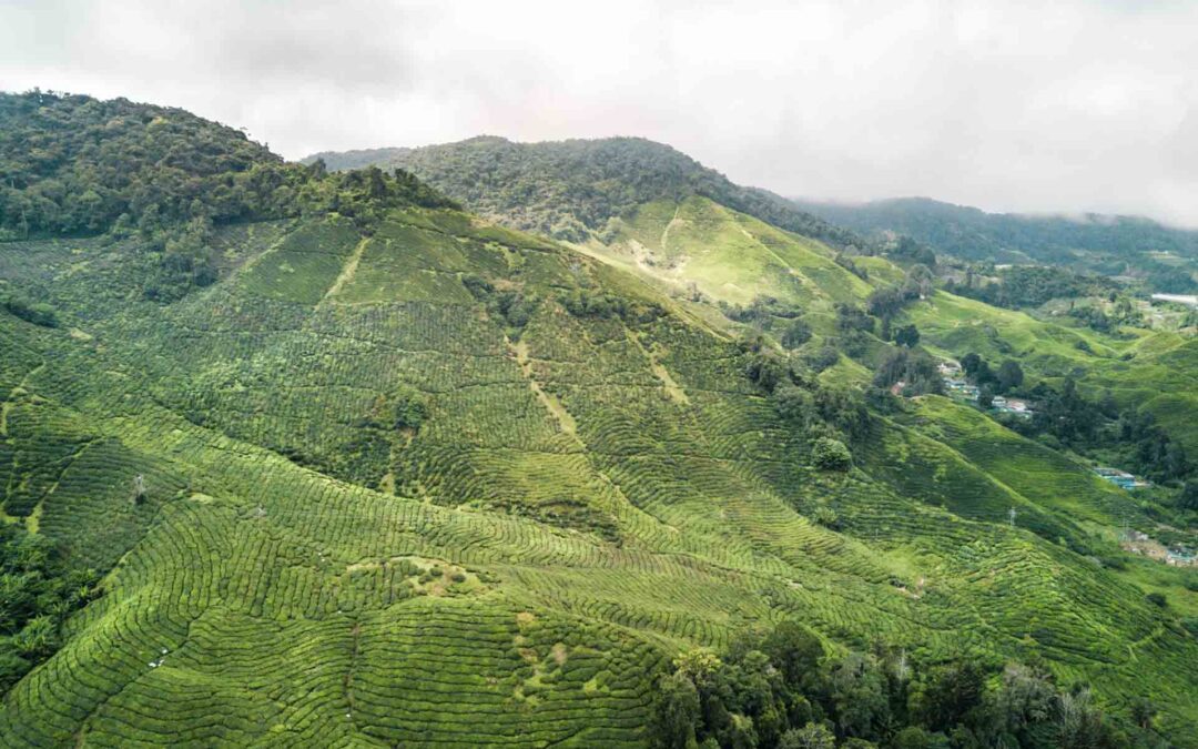 Malaysia