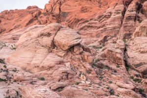 Rejseguide til Red Rock Canyon: Alt hvad du skal vide om at besøge de imponerende røde klippeformationer