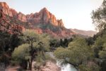 Rejseguide til Zion Nationalpark: Alt hvad du skal vide om at besøge oasen i ørkenen