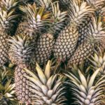 Ananas