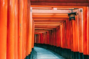 Kæmpe rejseguide til Kyoto: De bedste oplevelser, hoteller & tips til Japans kulturelle hovedstad