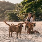 Hunde på Silver Beach