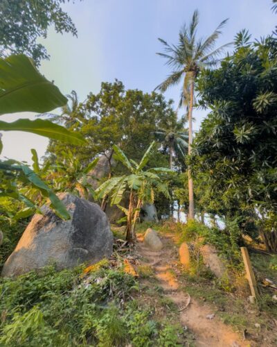 Vandring op til Overlap Stone 2