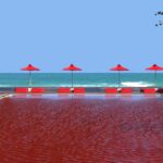 The Library i Koh Samui