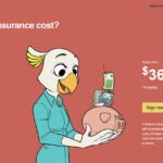 SafetyWing rejseforsikring