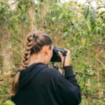 Victoria i fuld gang med at filme og fotografere umodne kaffebær