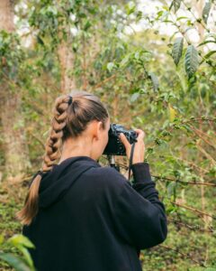 Victoria i fuld gang med at filme og fotografere umodne kaffebær