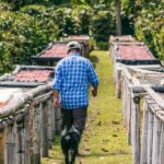 Vi var vilde med Richards farm i Boquete