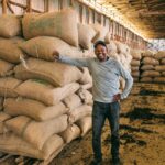 Akmel med sine kaffesække, der er klar til at blive eksporteret