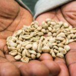 Det var en stor ære at blive udvalgt til CPH:DOX