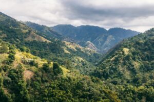 Blue Mountains nær Kingston, Jamaica