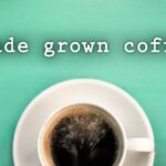 Shade Grown Coffee