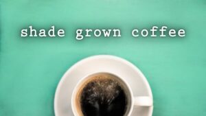 Shade Grown Coffee