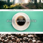 Shade Grown Coffee filmplakat
