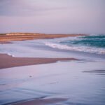 Grenen solopgang i blåt lys