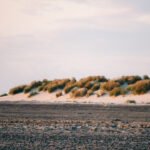 Sandbanker ved Grenen