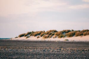 Sandbanker ved Grenen