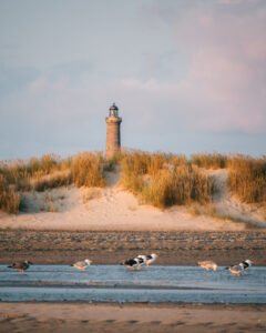 Sandklitter ved Grenen med Det Grå Fyr i baggrunden