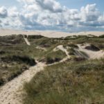 Klitterne ved Råbjerg Mile