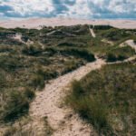 Klitter og sand ved Råbjerg Mile