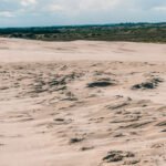 Sandørken i Nordjylland