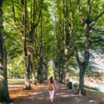 Malmø park i solskin