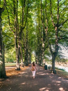 Malmø park i solskin