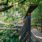 Vandresti på Kullen