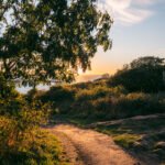 Solnedgang på Kullen