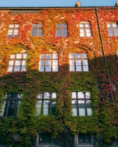 Lund i efterårsfarver