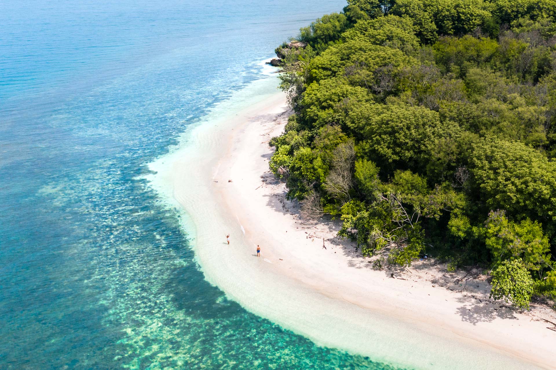 Tjen penge som digital nomade: Sådan finder du din unikke niche