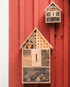 Søde insekthoteller