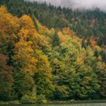 Riesersee i Tyskland