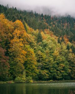 Riesersee i Tyskland