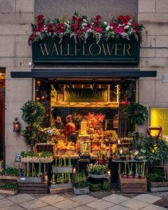 Wallflower