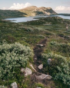 Vejen fra Stavsro til Gaustatoppen