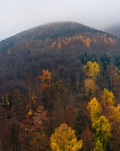 Oberharz drone