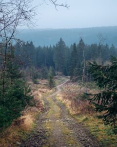 Oberharzer-landskab