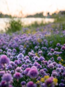 Forår i Sachsen-Anhalt