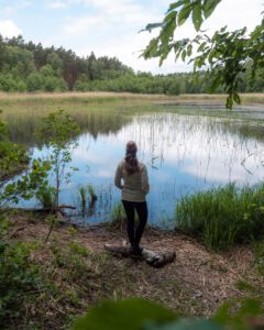 Fin sø i Dübener Heide