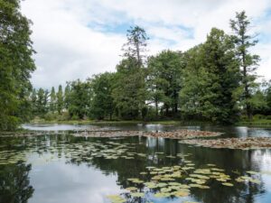 Vand i Wörlitz Park