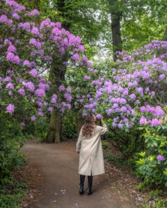 Wörlitz Park blomster