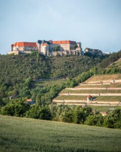 Neuenburg-slottet og vinmarker i Freyburg.