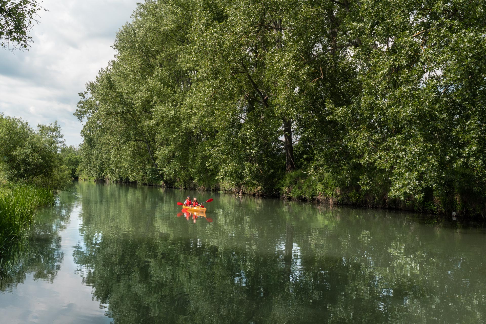 Rejseguide til Sachsen-Anhalt: 16 bedste oplevelser omkring Dübener Heide & Saale-Unstrut